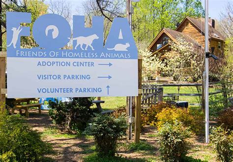 Friends Of Homeless Animals Virginia Saving Lives Since 1973