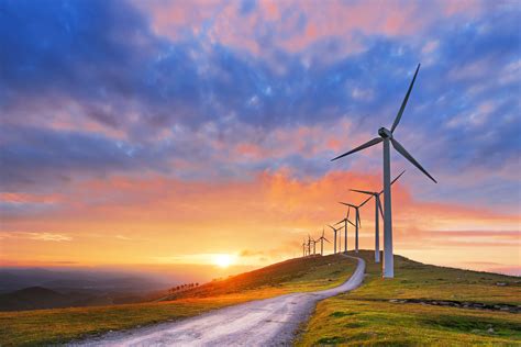 Renewable energy: Why small businesses should go green