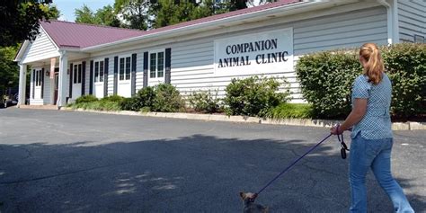 Companion Animal Clinic Veterinary Practice Acquisitions And Veterinary