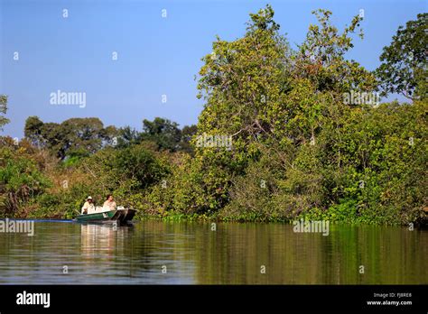 Viaje Turístico Pantanal Eco Friendly River Safari Naturaleza Descubrimiento Relajante El