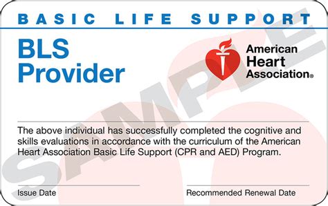 American Heart Association Healthcare Provider Bls Cpr Aed Online Aha