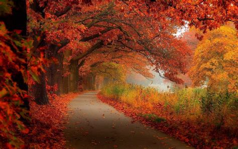 Scenic Autumn Desktop Wallpapers Top Free Scenic Autumn Desktop