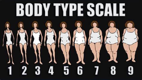 An oval body shape is one of the common body types of women. Start a new healthylife: Find Your Healthy Body Type