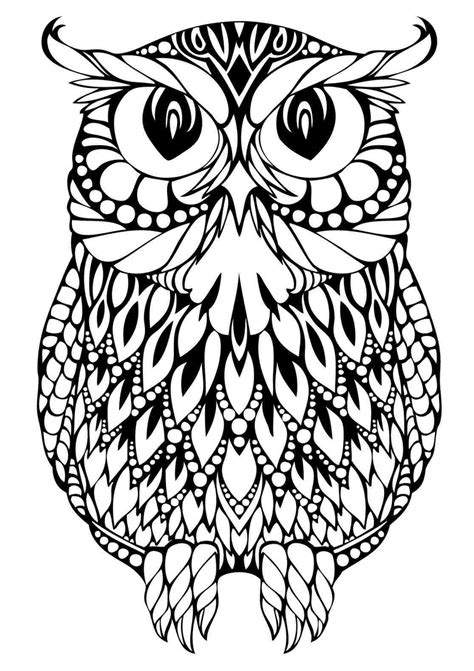 Owl Drawing Color At Explore Collection Of Owl