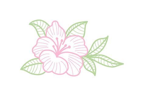 Hibiscus Flower Svg Free - Free SVG Cut Files | Premium Files SVG