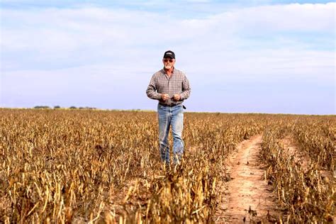 Texas Farmers Grow A Lucky Crop Texas Farm Bureau