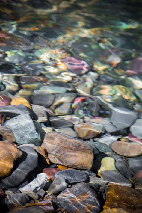 Colorful River Rocks Stock Image Image Of Montana Closeup 92758437