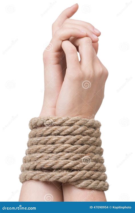Tied Hands Isolated White Stock Photo Image Of Captivity
