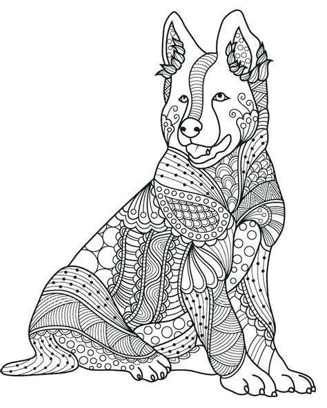 Coloring Pages For Adults Difficult Animals M Medysonnyeng