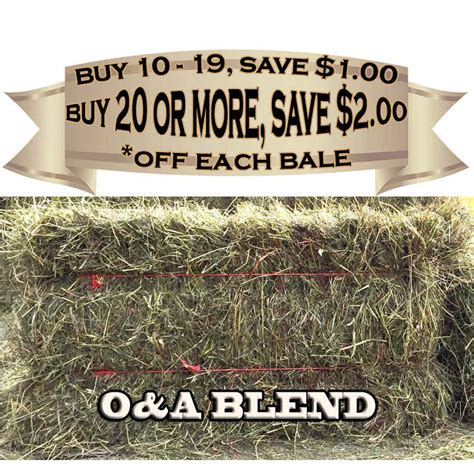 Quality Orchard Grass And Alfalfa Hay Bale 56lb To 60lb Sunset Feed