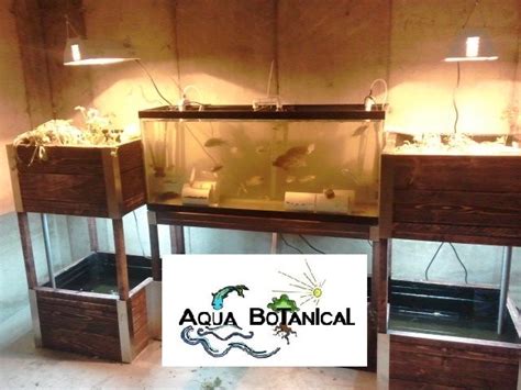This Is Our First In Home Aquaponics System It Has A 55 Gallon Fish