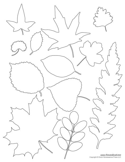 Leaf Template Leaf Template Printable Leaf Coloring Page