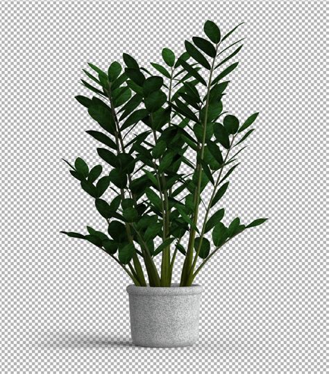 Premium Psd Render Of Isolated Plant With Isometric View