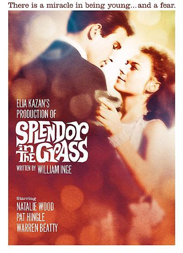 Splendor In The Grass 1961 Splendour In The Grass Warren Beatty