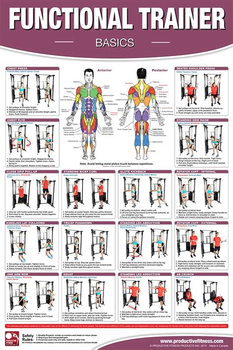 1995 This Poster Features 16 Basic Exercises That Can Be Done On A Functional Trainer Gym