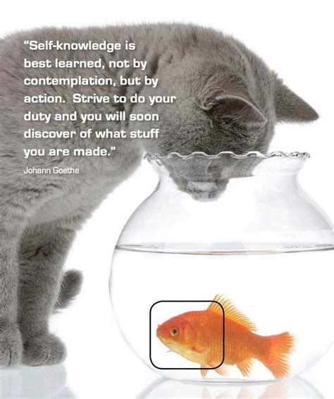 Enjoy reading and share 100 famous quotes about self knowledge with everyone. 17 Best images about Self Knowledge - Authenticity on Pinterest | Personality types, Nice quotes ...