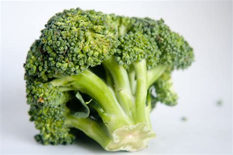 Free Images Food Green Produce Healthy Broccoli Plants