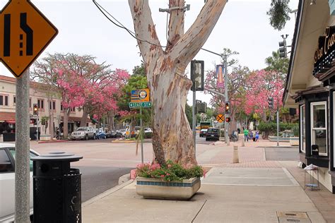 8 Best Things To Do In Carlsbad What Is Carlsbad Most Famous For