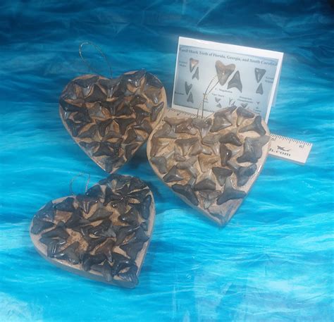 Shark Heart 28 Variety · L1 4 L2 4 · Megateeth