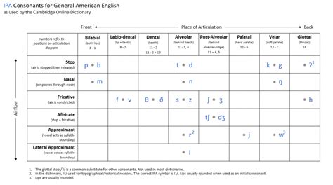 Easy Guide American IPA Vs IPA Which Is The Best