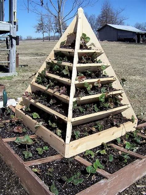 For the design, we were inspired by ana white's tiered flower planter plan, but made quite some updates in order to make it more ideal for growing. How To Make A Strawberry Pyramid Planter | The Owner ...