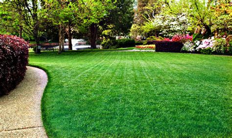 Fertilizers And Grass Seeds For Green Lawns In Columbus Indiana
