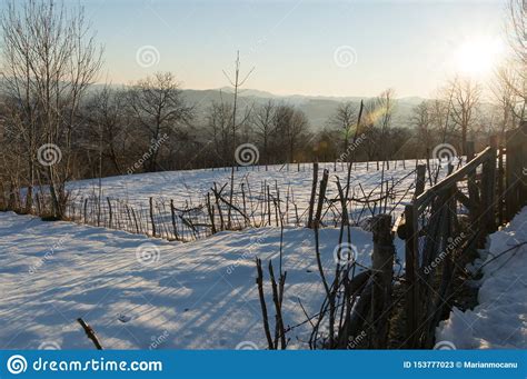 Beautiful Winter Landscape In Romanian Mountains Stock Image Image Of