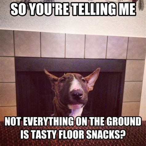 Not Everything On The Ground Is Tasty Floor Snacks