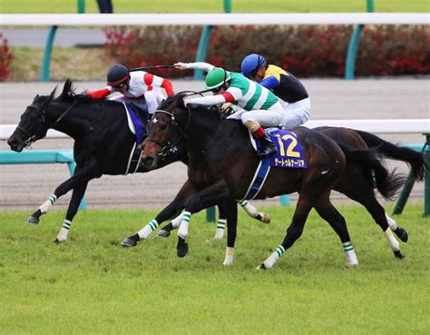 * あなたもasao language schoolで日本語を教え、一緒に学びませんか。 当校は、語学学習、多文化交流、異文化理解を目的とする日本語教師のグループと. 最高峰の日本ダービーで断然人気のサートゥルナーリアを買え ...