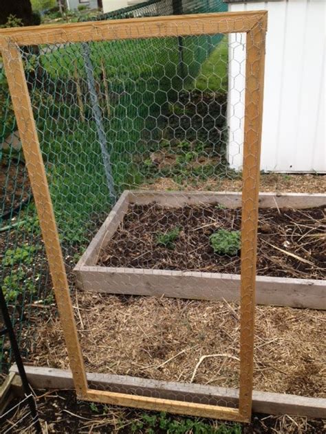 Chicken wire netting comes in rolls, so you will have to buy more than what you need for just one trellis. Creative State of Mine: Peas Please: Nearly Free Trellis ...