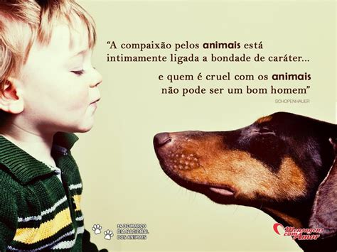 A Compaixão Pelos Animais