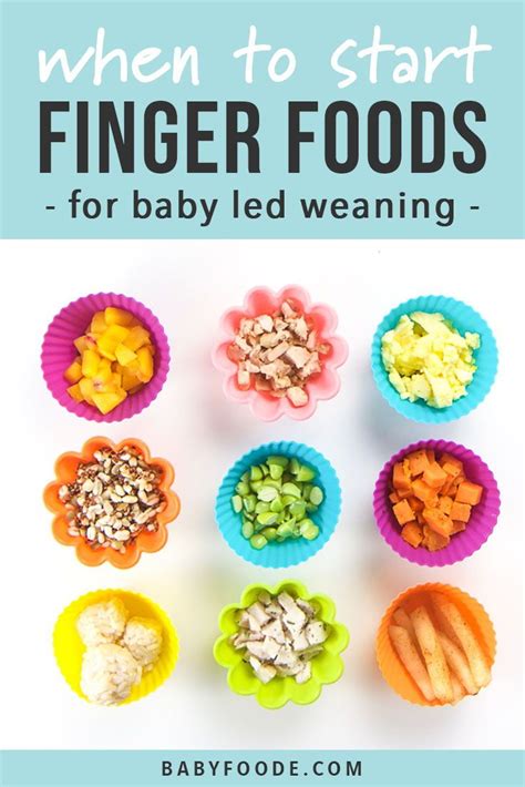When to start baby led feeding? The Ultimate Guide to Finger Foods for Baby Led Weaning ...