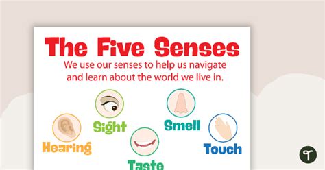 The 5 Senses Posters Teaching Resource Teach Starter