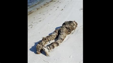 Woman Calls 911 To Report A ‘dead Body Washed Ashore Turns Out To Be This It S Viral