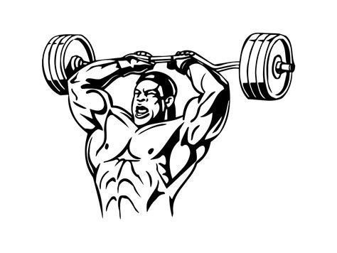 The Best Free Bodybuilding Drawing Images Download From 50 Free