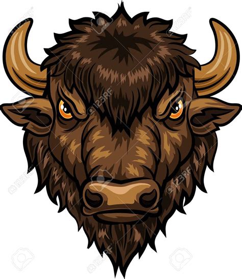 Vector Vector Illustration Of Head Bison Mascot Bison Buffalo Head