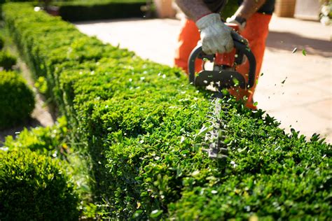 Landscaping Maintenance Service In Las Vegas Nv Cacti Landscapes