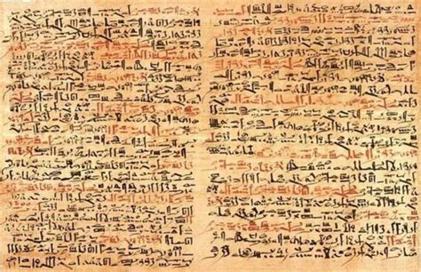 The First Paper The Papyrus Of Ancient Egypt World History