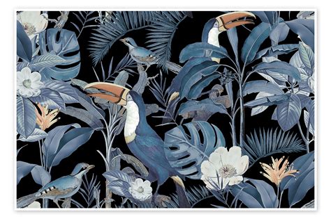 Tropical Midnight Jungle Toucans Print By Andrea Haase Posterlounge