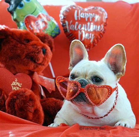 Frenchie Valentines Day French Bulldog Bulldog Frenchie