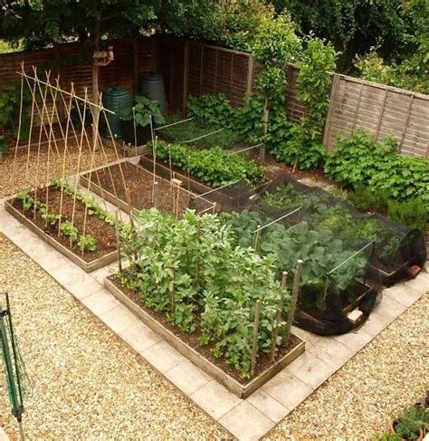 80 Affordable Backyard Vegetable Garden Design Ideas Home