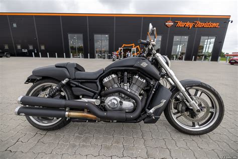 Brugt Harley Davidson Vrscf V Rod Muscle 2009 Til Salg 123mc