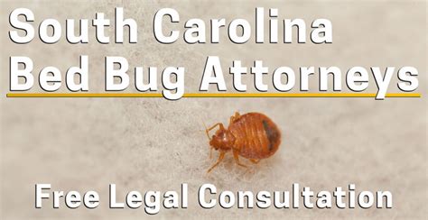 Bed Bug Lawyer South Carolina Attorney Myrtle Beach
