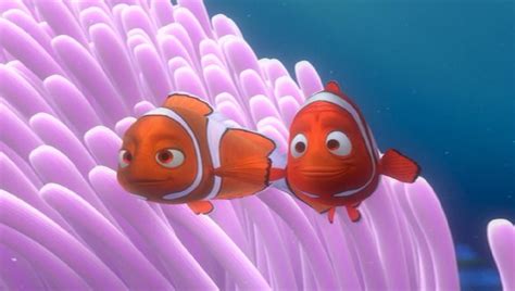 Coral Should Be Bigger Than Marlin Female Clownfish Are Always Bigger