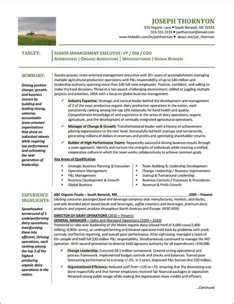 46 Senior Manager Resume Sample For Your Needs