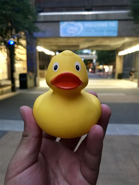 Rubber Ducky Youre The One Rubberducks