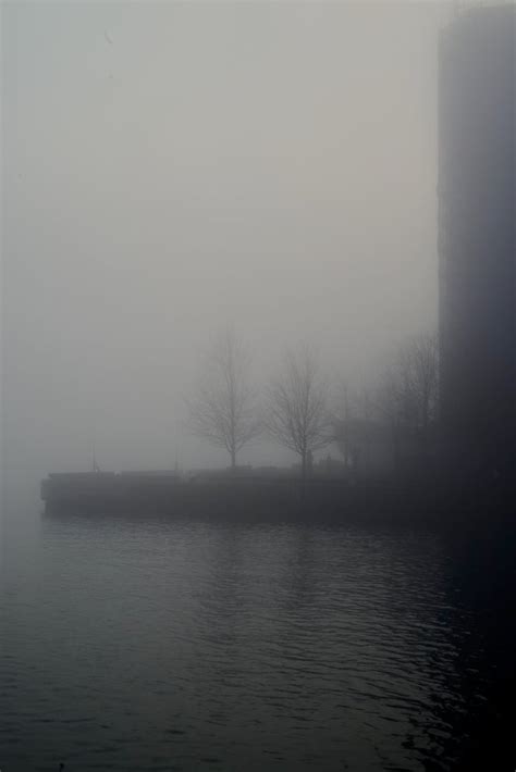 The Fog Today Made Ireland Park Look Extra Eerie Rtoronto