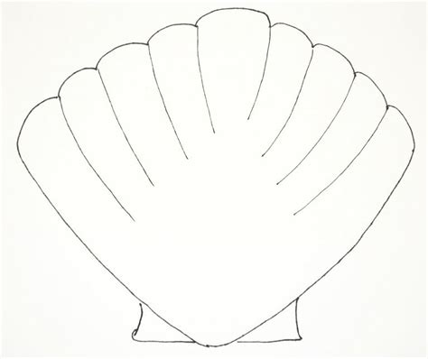 Bunched Up Seashell Printables Coloring Pages