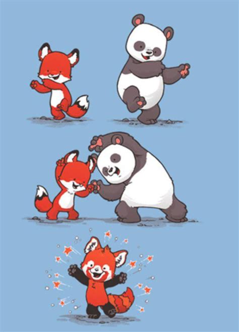 Please Follow Iloveredpandas Red Fusion Redpanda Panda Cutebear