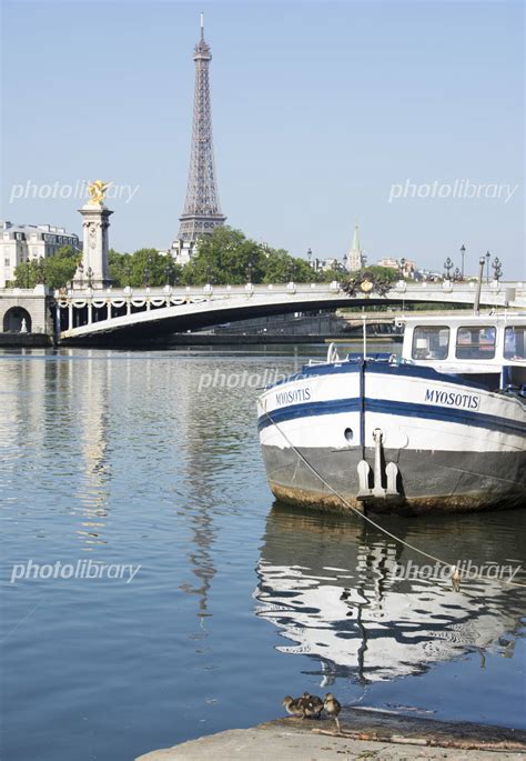 フランス 世界遺産 パリ セーヌ河岸 小鴨とエッフェル塔 写真素材 3102904 フォトライブラリー Photolibrary